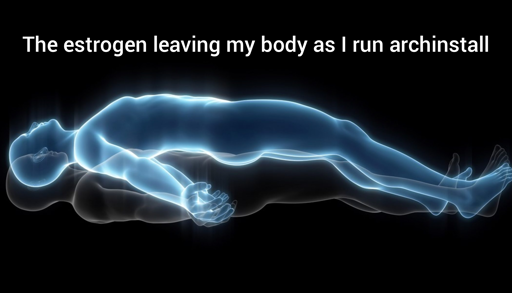 "The estrogen leaving my body as I run archinstall." With picture of someone's soul leaving them.