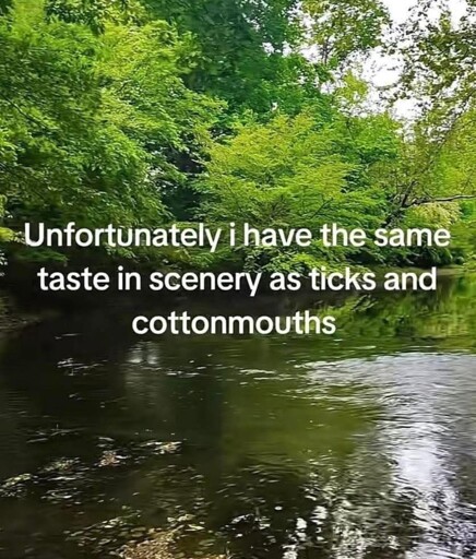 A photograph of a river running through a forest. The caption reads, "unfortunately, I have the same taste in scenery as ticks and cottonmouths"
