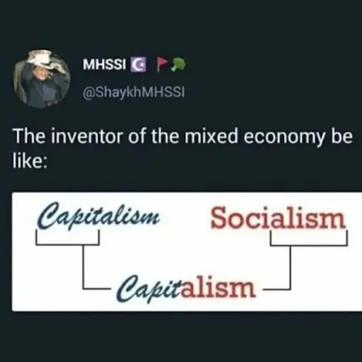 The inventor of mixed economy be like: Combining the 'Capit' from Capitalism with the 'alism' from Socialism to from 'Capit-alism'