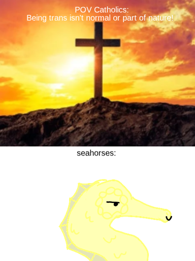 a cross silhouetted against a sunset, and a yellow seahorse 