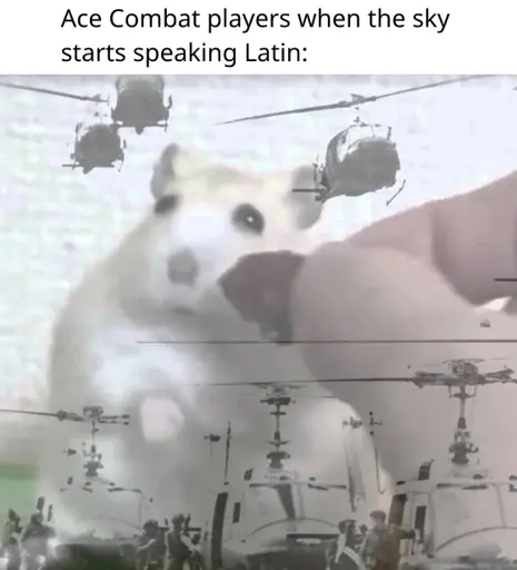 Ace Combat players when the sky starts speaking Latin: