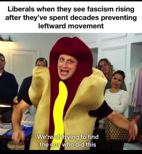 A meme featuring the "hot dog guy" from *I Think You Should Leave*, with the text: "Liberals when they see fascism rising after they’ve spent decades preventing leftward movement." The caption at the bottom reads: "We're all trying to find the guy who did this."